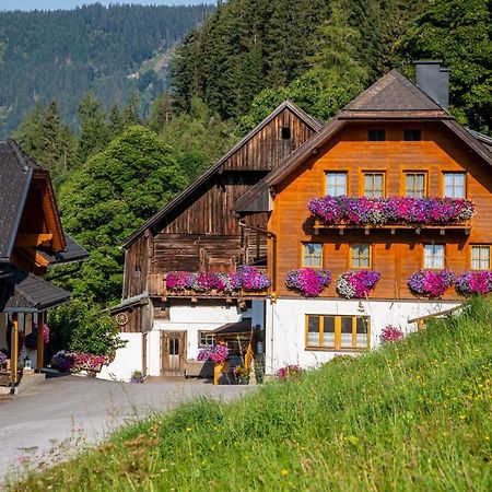 Bio-Bauernhof Grundlehnerhof Konuk evi Ramsau am Dachstein Dış mekan fotoğraf