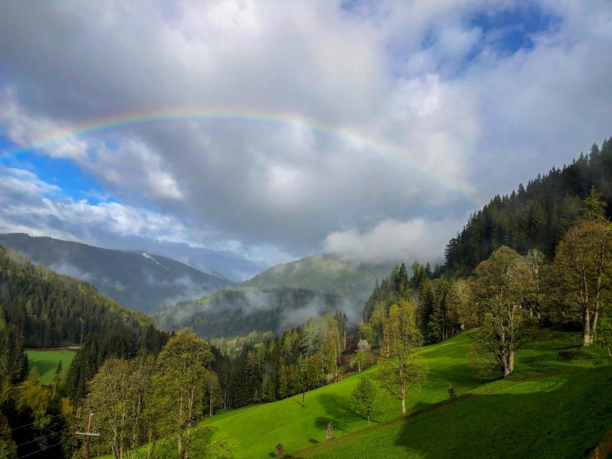 Bio-Bauernhof Grundlehnerhof Konuk evi Ramsau am Dachstein Dış mekan fotoğraf