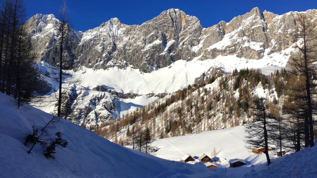 Bio-Bauernhof Grundlehnerhof Konuk evi Ramsau am Dachstein Dış mekan fotoğraf