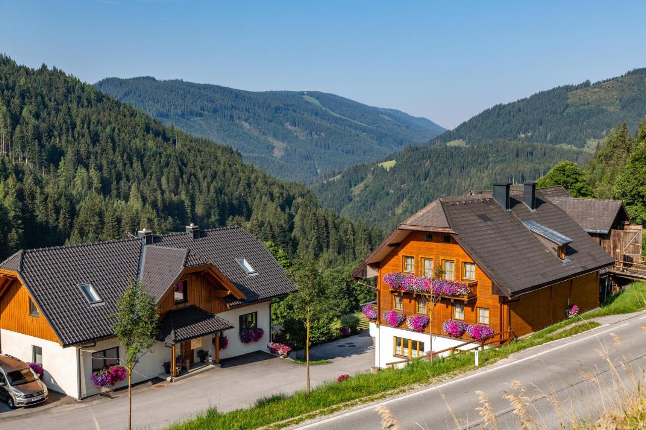Bio-Bauernhof Grundlehnerhof Konuk evi Ramsau am Dachstein Dış mekan fotoğraf